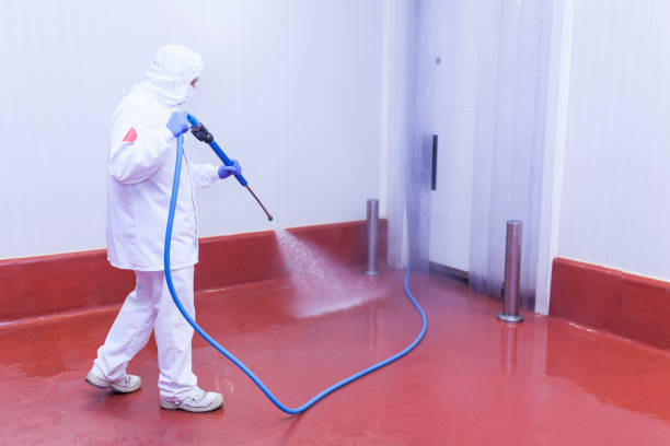 Professional Pressure Washing Services in Westwego, LA